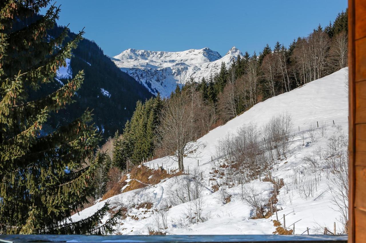Appartementhaus Tannenberg ザールバッハ・ヒンターグレム エクステリア 写真